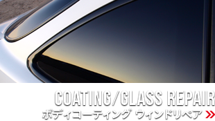 COATING/GLASS REPAIR